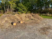 Wood chips 