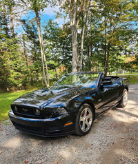 2014 Mustang 5.0L Showroom Condition 