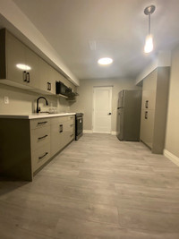 Newly finished basement close to Conestoga College Doon Campus