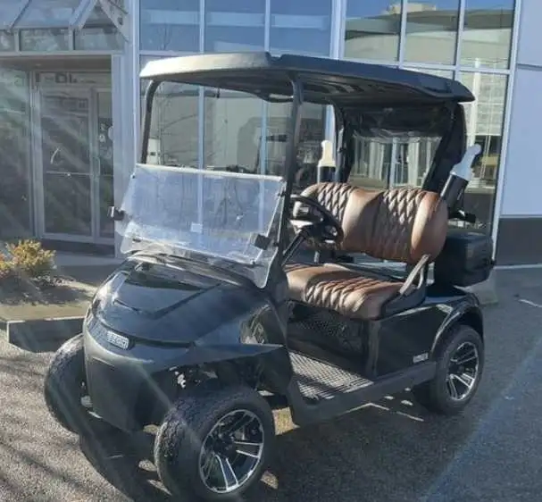 Golf Cart 2 seaters in Golf in Edmonton - Image 6