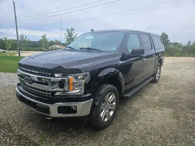 2019 F150 XLT