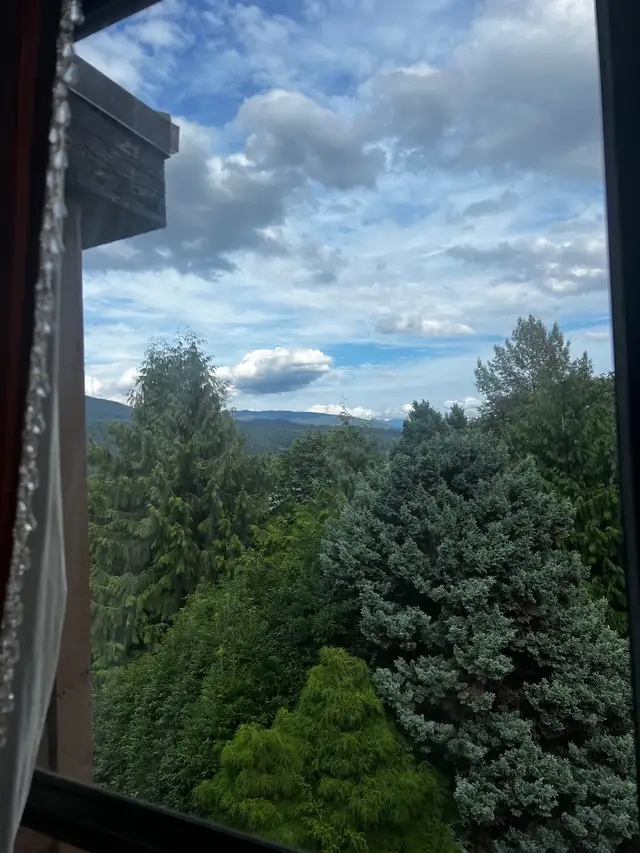 Room per a day/night  in British Columbia in Canada - Image 5