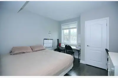 A bright airy walkout basement in the Estates of Credit Ridge Brampton. 2 bedrooms,spacious living a...