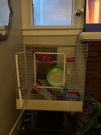 Large metal pet cage for small animals