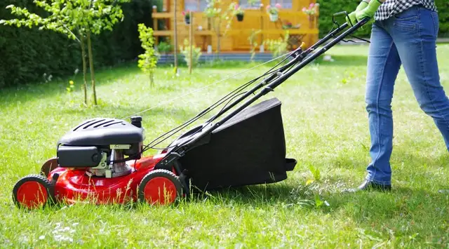 Lawn Mowing and fence & deck painting62863224939650122