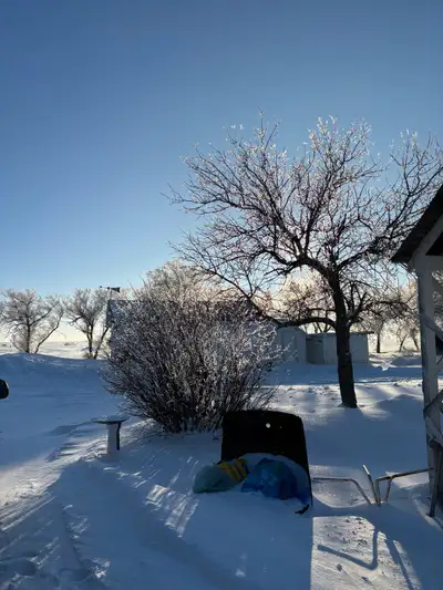 House cleaner looking for clients!, View more