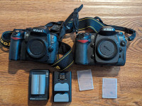 Nikon DX DSLR cameras and lenses