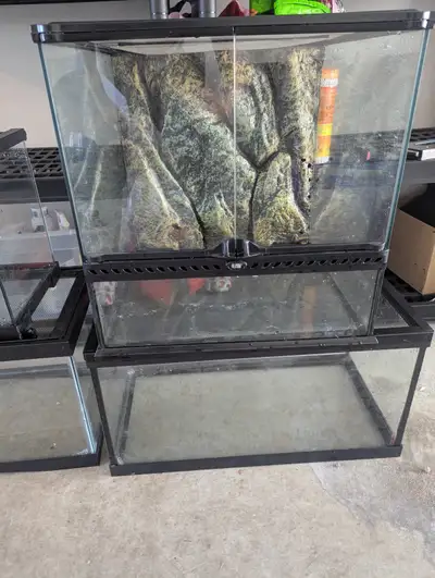 Huge Reptile Lot! 5 Enclosures & Tons of Accessories, View more