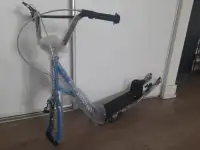Kick Scooter with Adjustable Handlebars, Double Brakes