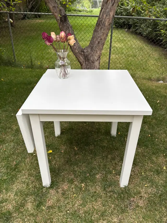 IKEA Drop-Leaf Table576039789863915521
