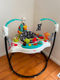 Jumperoo baby activity center