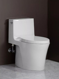 Toilet American Standard Kohler TOTO lnstaIIation