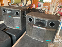 Elite micron 600 speakers with processor