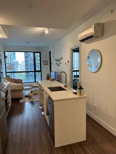 Condo 3 1/2 Downtown