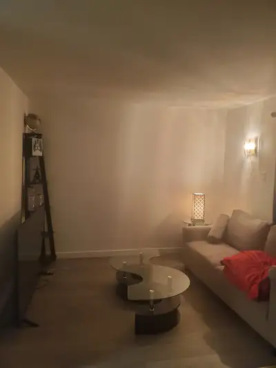 Room for Rent – Ottawa – Great Location for Students Room available for rent in a townhouse in a con...