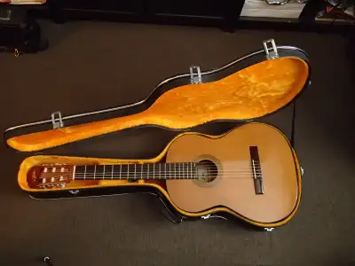 Aria Guitar, View more