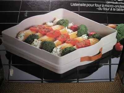 POUR FOUR MICRO-ONDES: - RÔTISSOIRE ET PLATS À CUISSON 2 CÔTÉS WEAREVER ET 2 LIVRES DE RECETTES PANA...