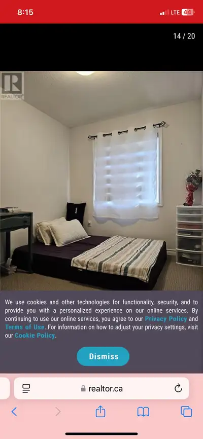 Room for rent available from Nov 1 st in Cambridge