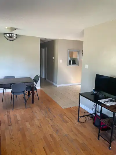 Single rooms in shared student houses, These spacious 6 bedroom with two bathrooms are perfect for s...