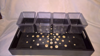 Condiments tray with bins and pearl inserts