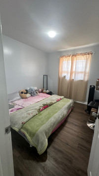 1 private bedroom available for girls from 1 June 