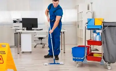 I am looking for house cleaning work in Mississauga., View more
