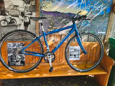 Devinci Ladies Sport Fitness at Lumpy  Bikes, View more