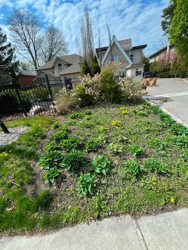 Mulch, Yard Cleanup & Garden Projects | Oakville & Burlington in Lawn, Tree Maintenance & Eavestrough in Oakville / Halton Region - Image 7