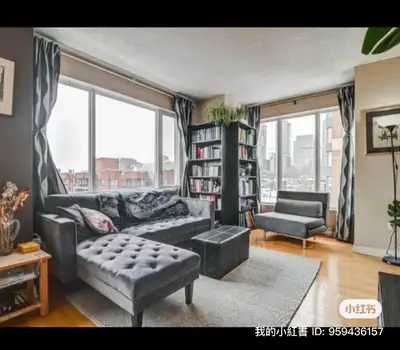 Sunny BIG furnished 2 bedrooms downtown Montreal