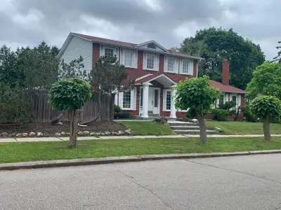 Leslie/Finch - Private Clean 2 BDRM BSMT APT in a House for Rent