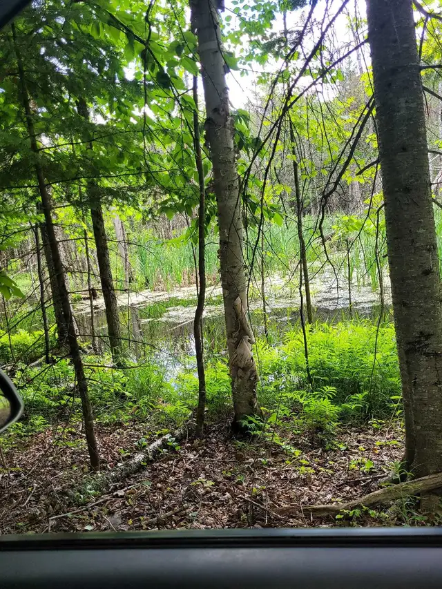 2/3-acre lot located in Deauville