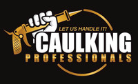caulking professionals  (window sealant)