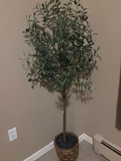 Excellent condition Pick up only