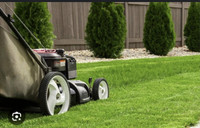Looking for grass cutting/property maintenance work 