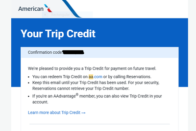 American Airlines airplane travel credit, View more