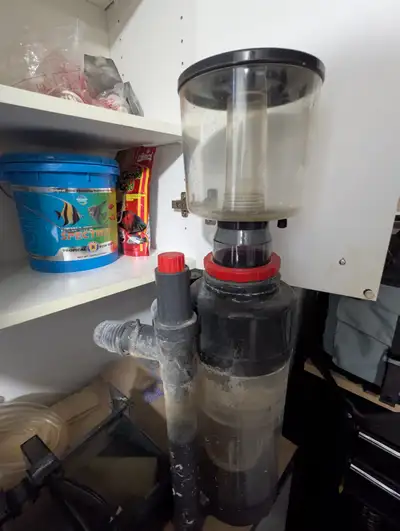 Moving and must sell complete package. Originally was salt water set up , now fresh water with live...