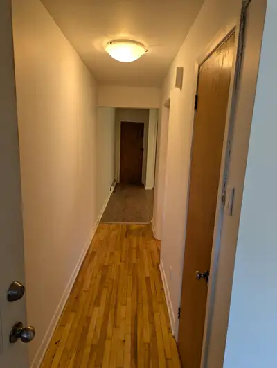 Beau logement 3 1/2 situé sur la merveilleuse rue d'iberville. Logement très lumineux, court arrière...
