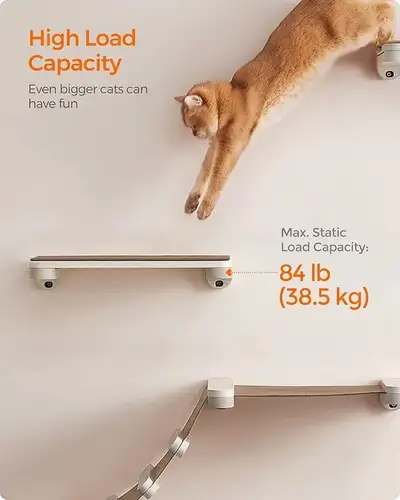 Brand New Wall Mount Cat Tree Selling at $159, View more