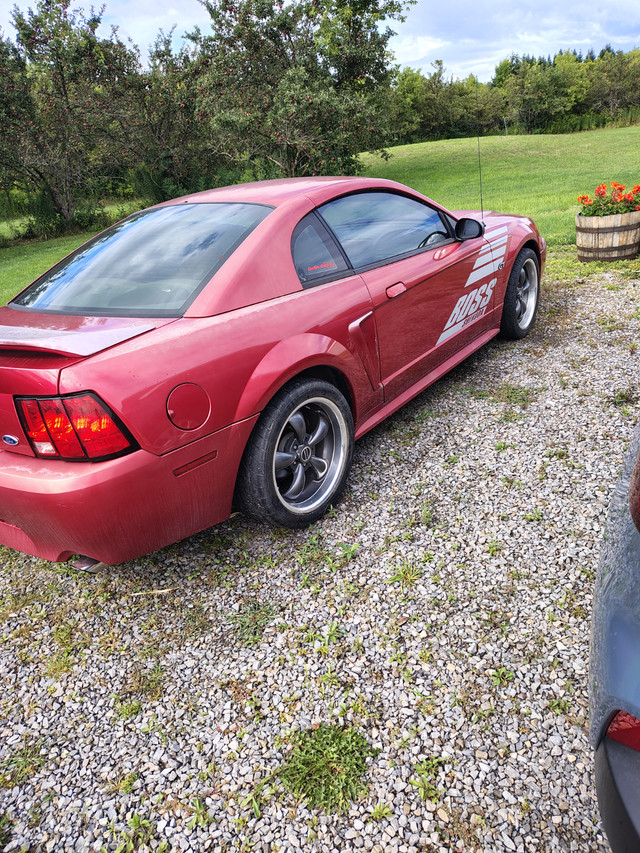 Turbocharged Mustang GT in Classic Cars in Oakville / Halton Region - Image 3