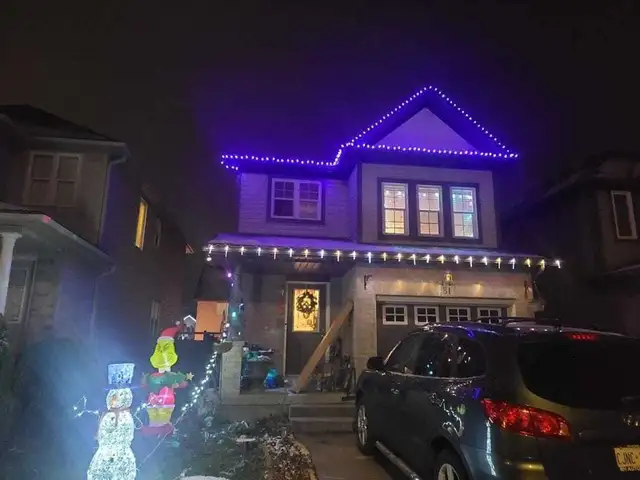 Christmas lights and Gutter cleaning  services602770048885739523