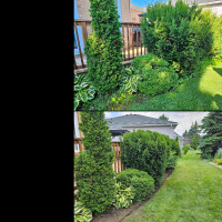 Garden Maintenance - Weed & Overgrowth Removal - Pruning & More!