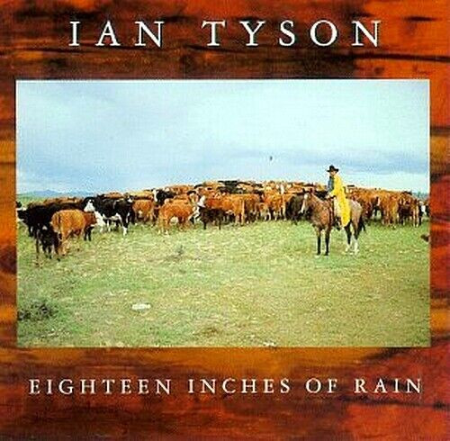 IAN TYSON CD *1994* 18 Inches of Rain *Canadian Artist* in CDs, DVDs & Blu-ray in Kitchener / Waterloo
