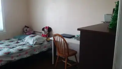 1 BEDROOM+BIG LIVING ROOM (For 2  Person)