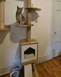 Cat tree to sell (kitty not included)