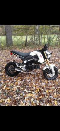 Honda Grom