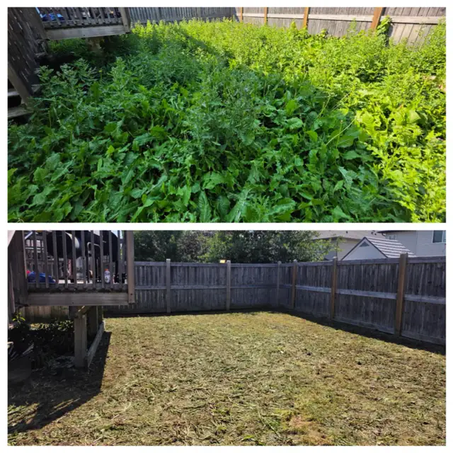 OVERGROWN YARD • LANDSCAPING • RENTAL CLEAN UP • ROCK/MULCH BEDS