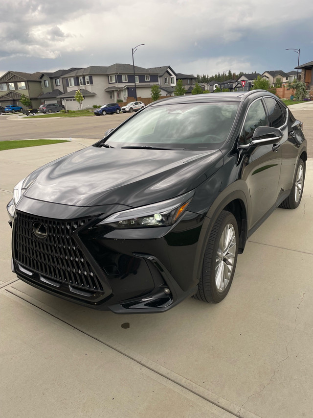 2025 Lexus NX 350 Luxury Package in Cars & Trucks in Edmonton - Image 2