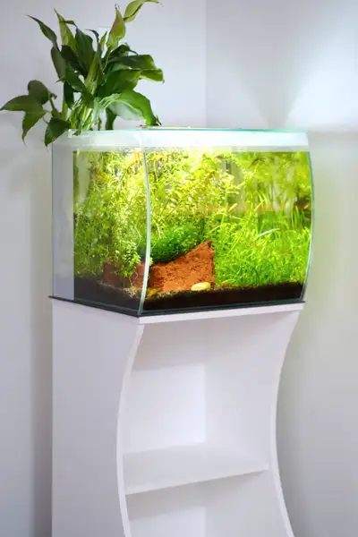 Fluval Flex 15g - Fully set up aquarium, View more