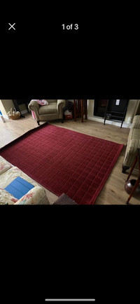 Two area rugs