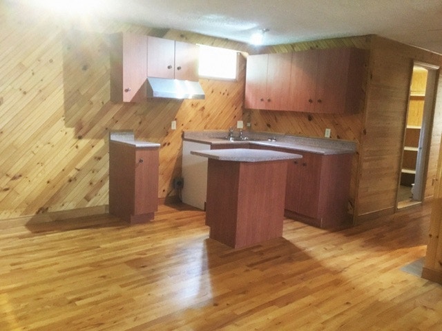 Grand 3-1/2 à louer à Napierville — photo 3